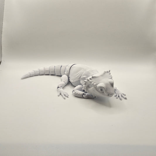 Beardie Dragon