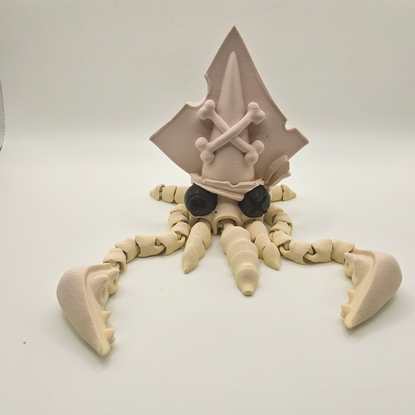 Pirate Squid