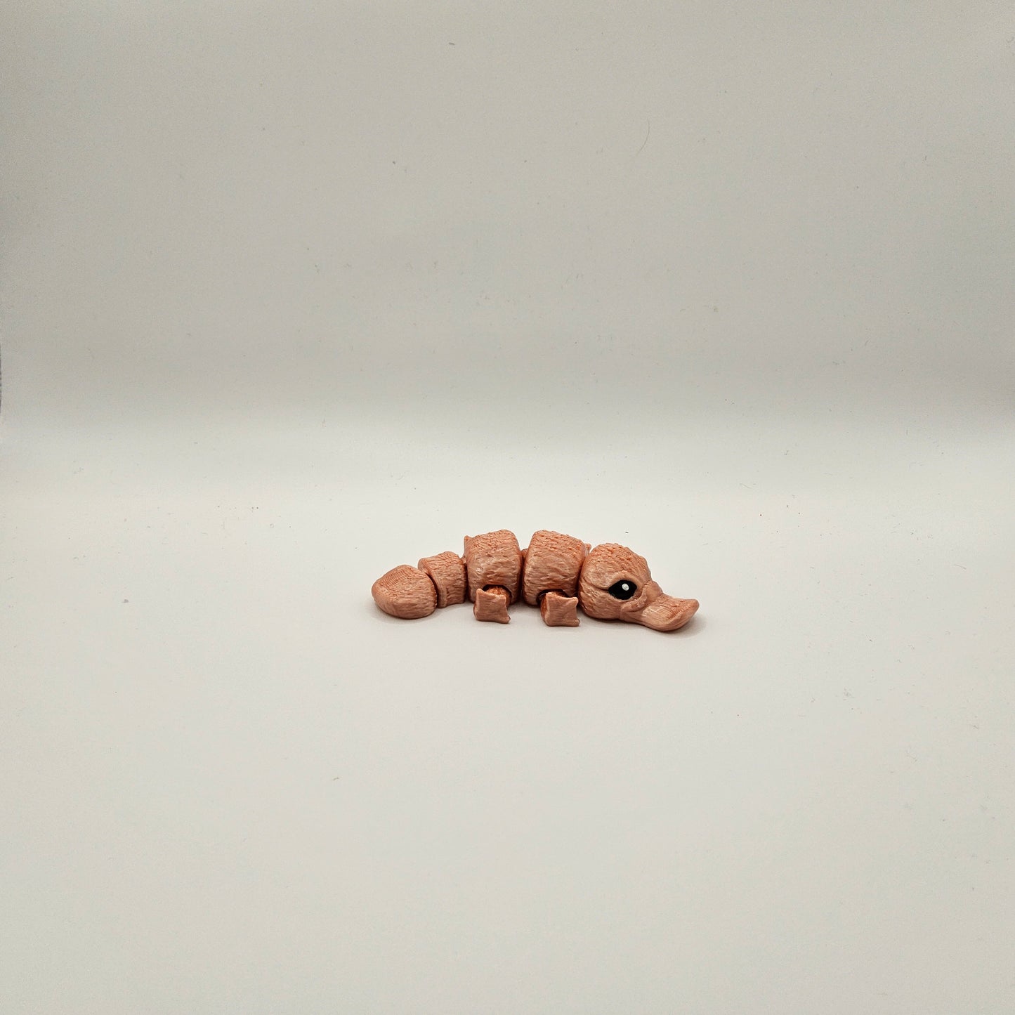 Mini Platypus