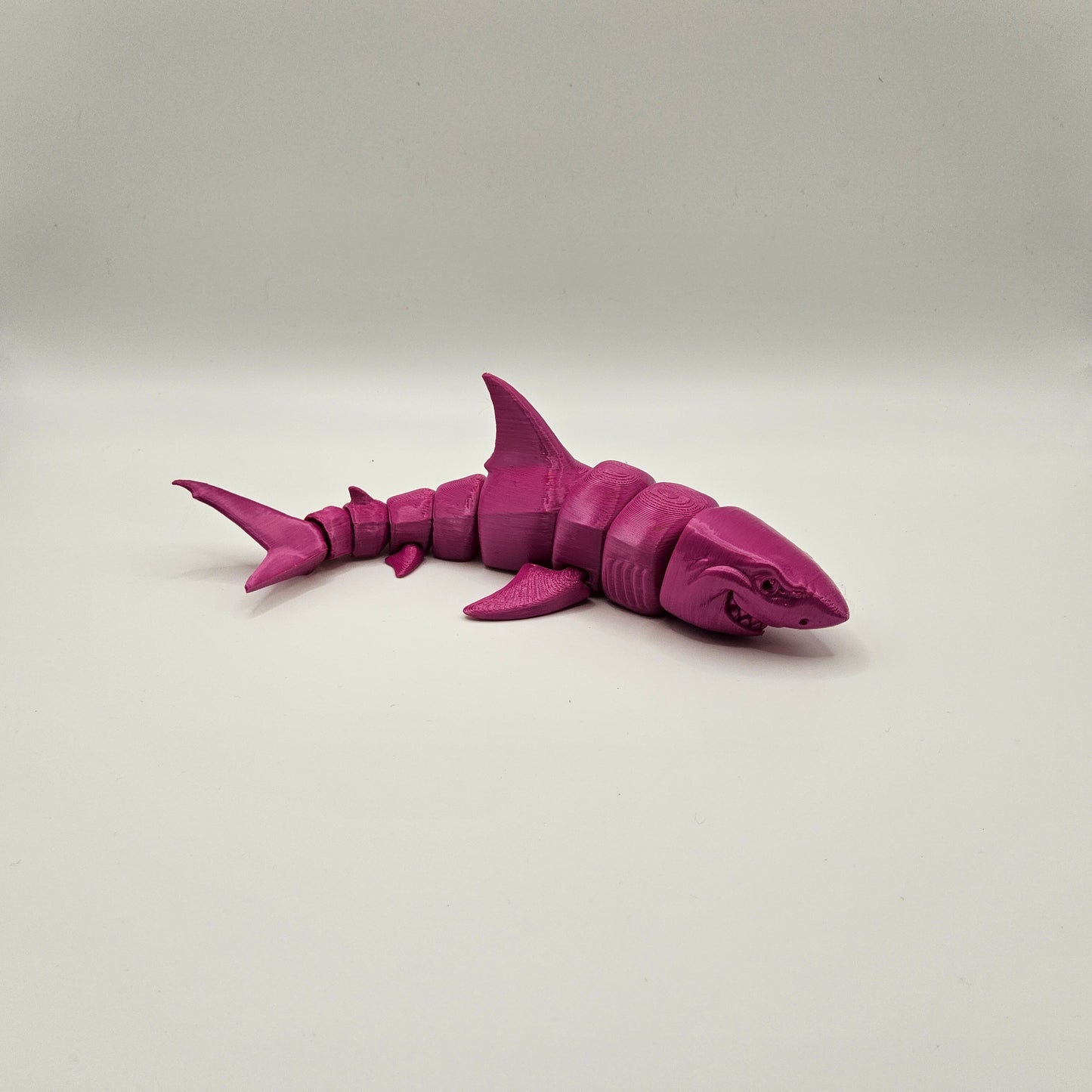 Small Great White Shark