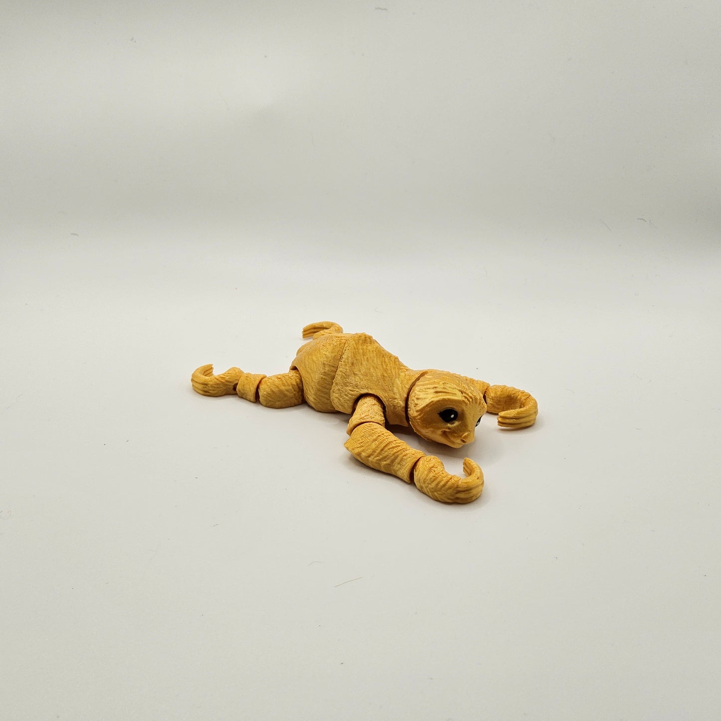 Small Sloth