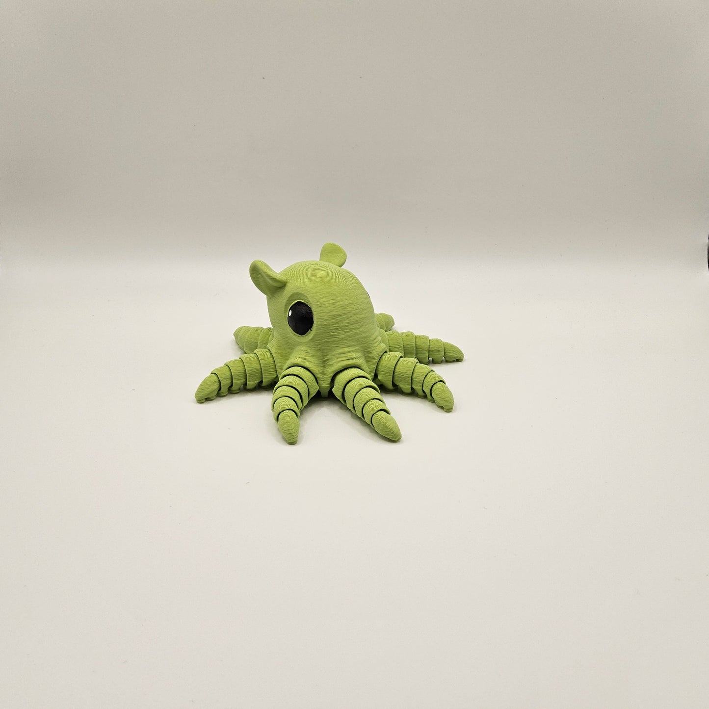 Small Flapjack Octopus