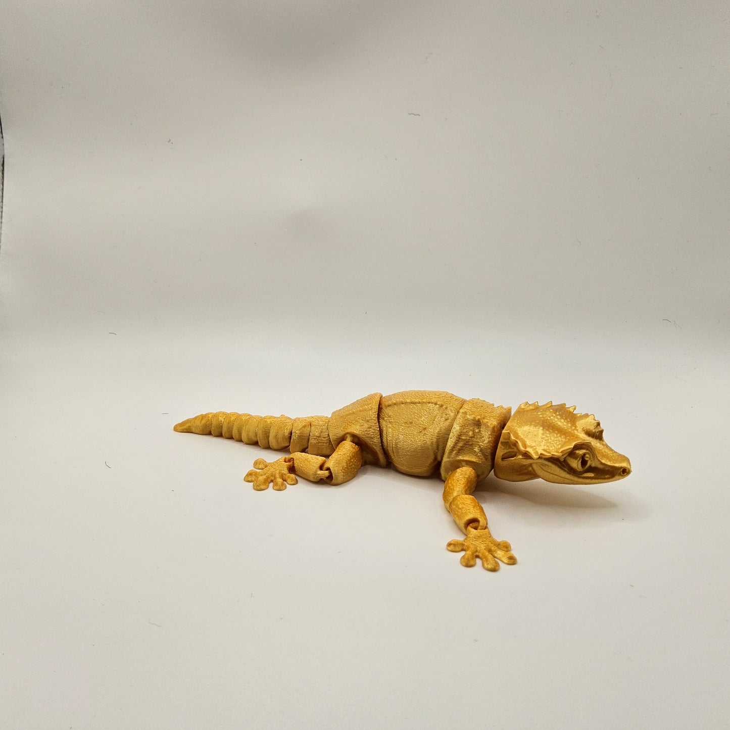 Small Creasted Gecko