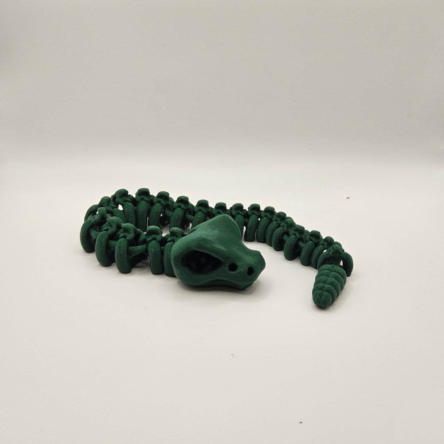 Skeleton Rattle Snake