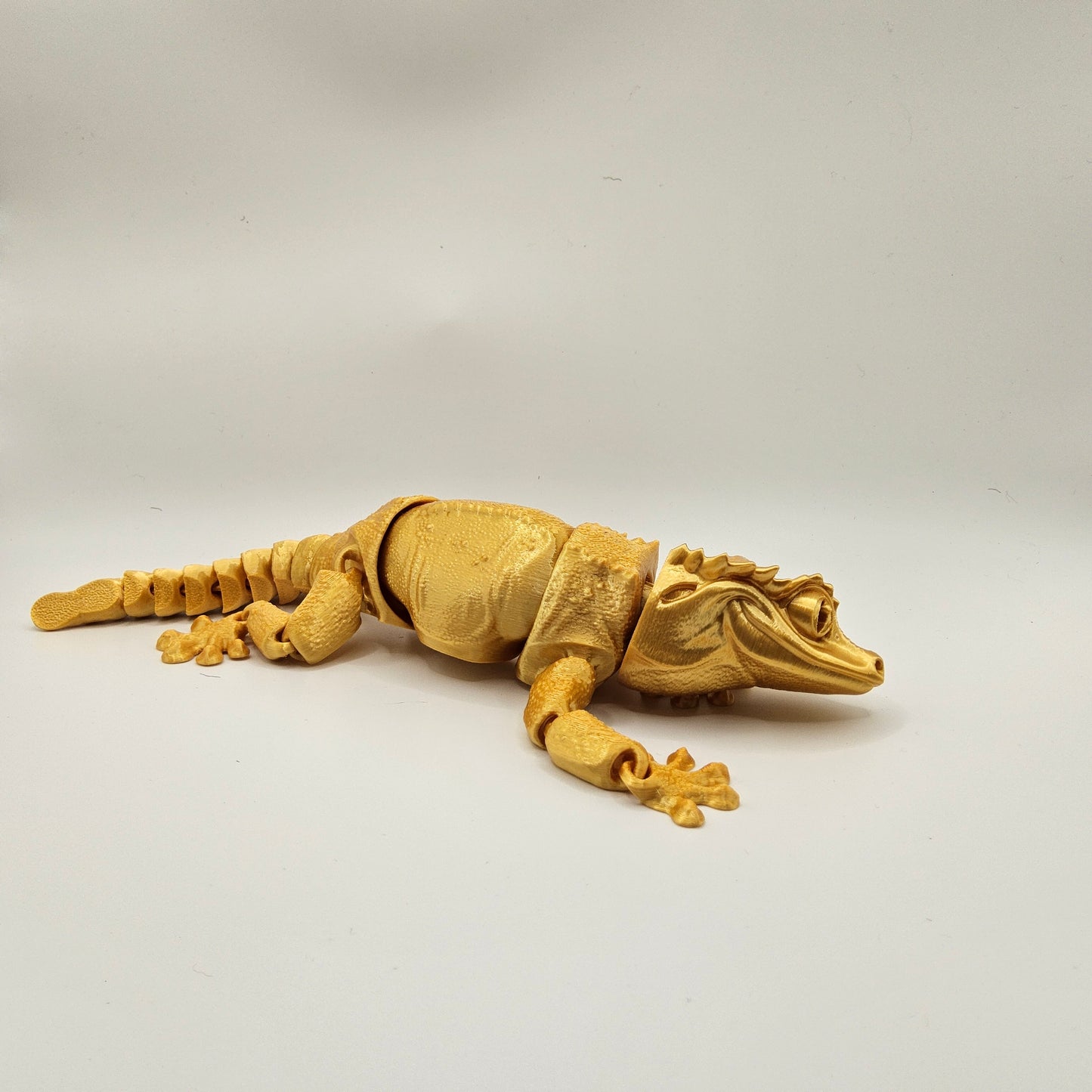 Creasted Gecko