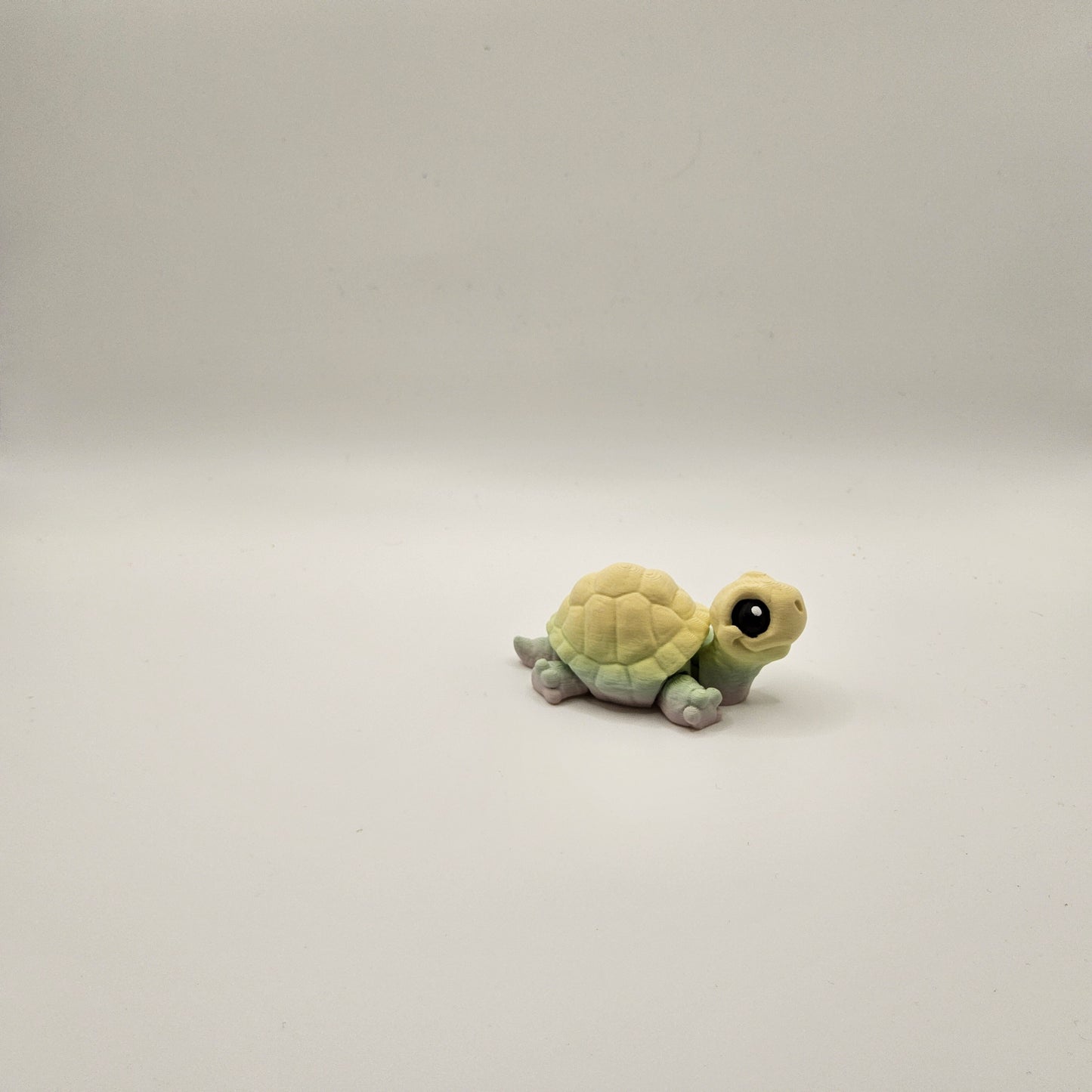 Mini Tortoise