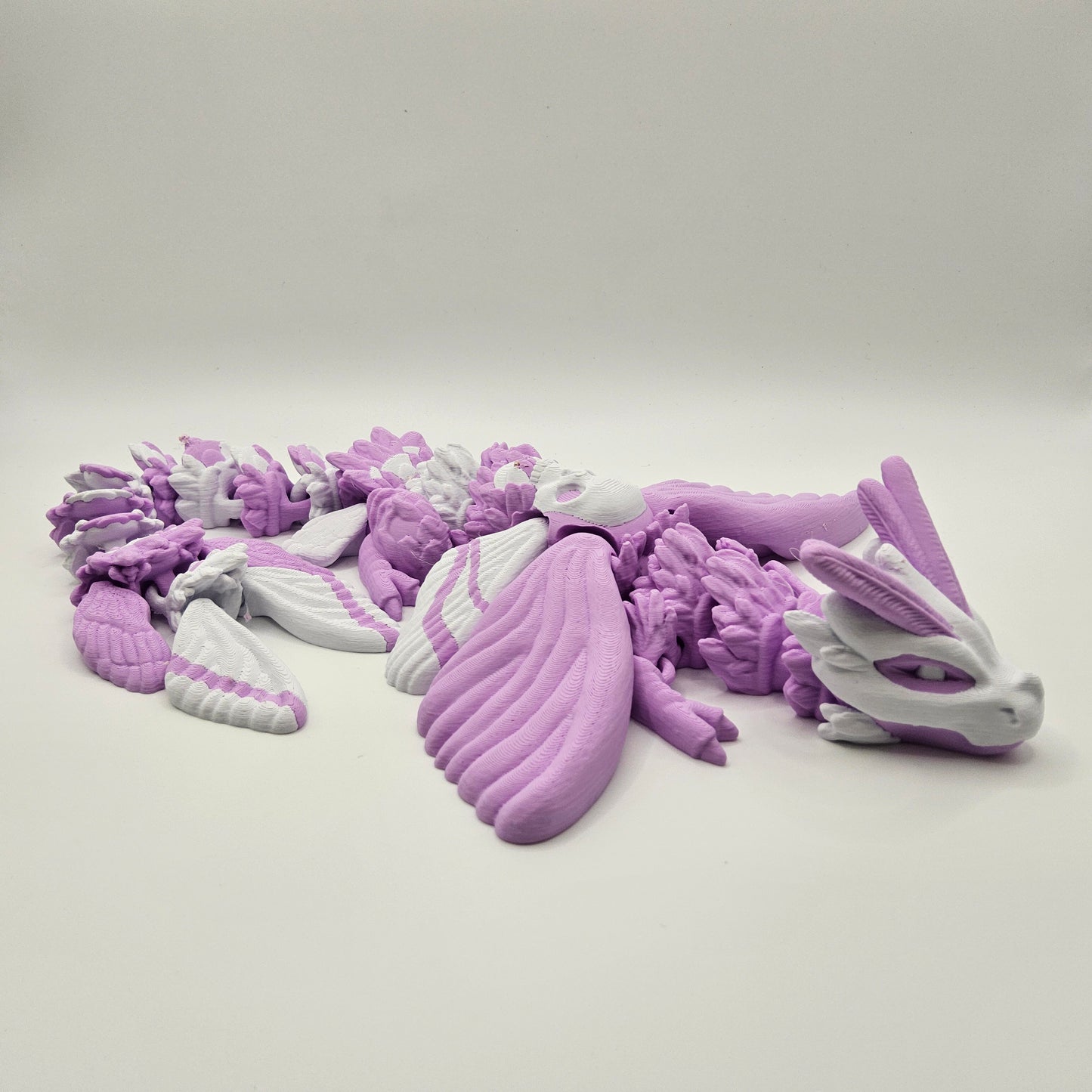 Two Coloured Death's Head Moth Dragon