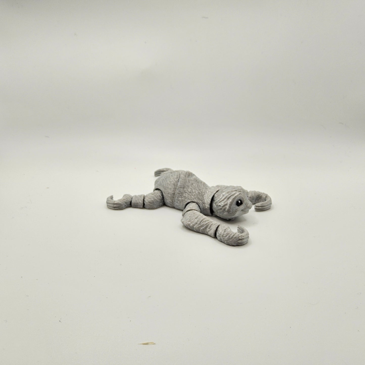 Small Sloth