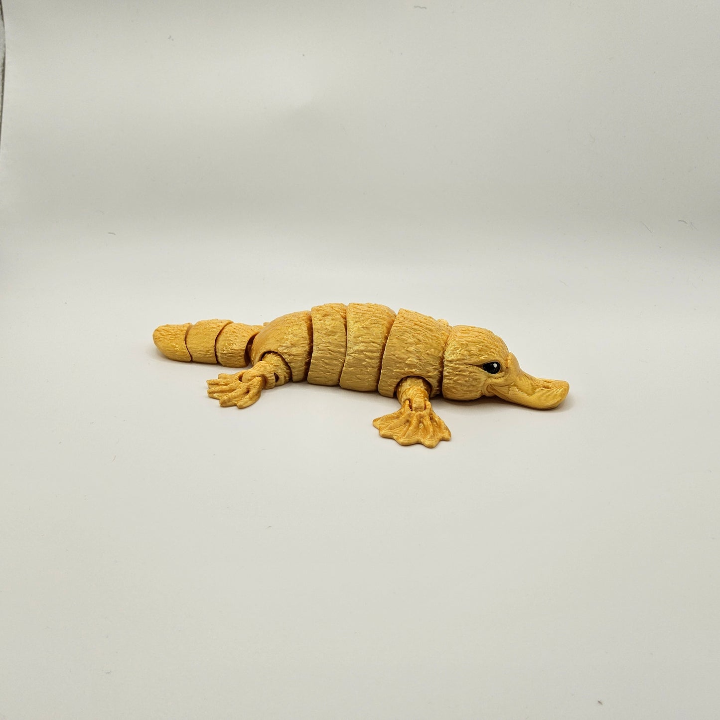 Small Platypus