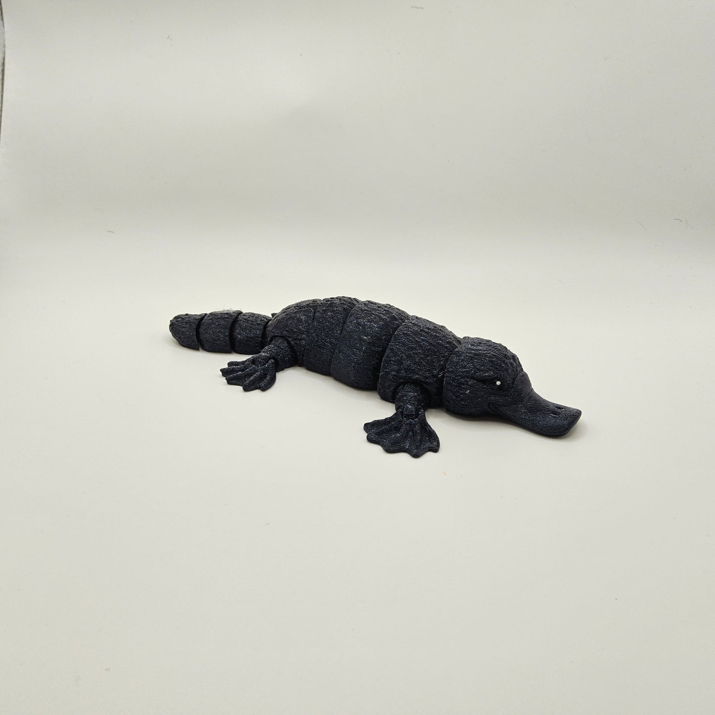 Small Platypus