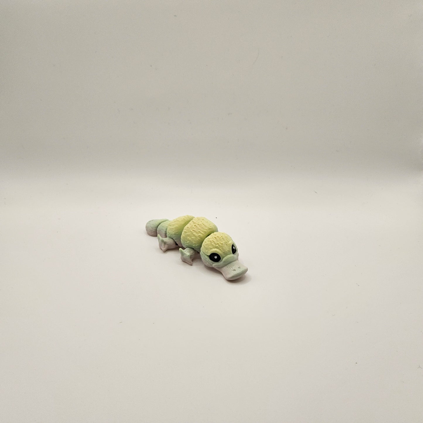 Mini Platypus