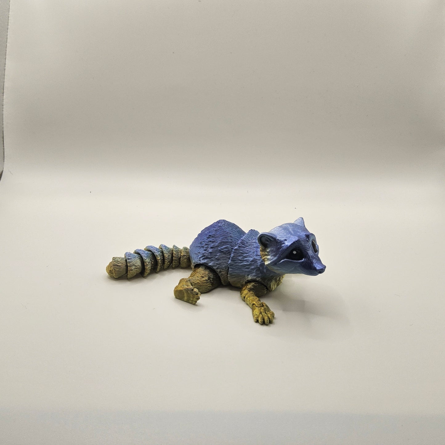 Small Raccoon