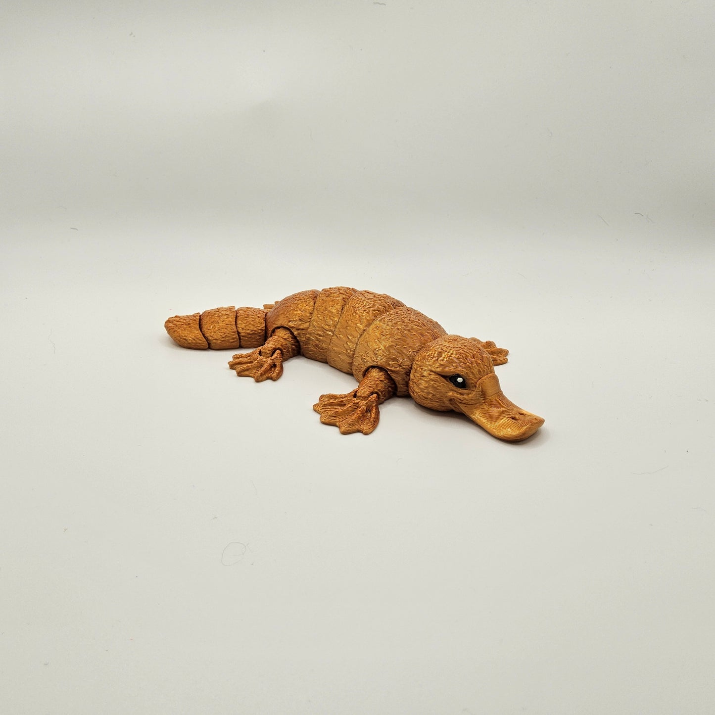 Small Platypus
