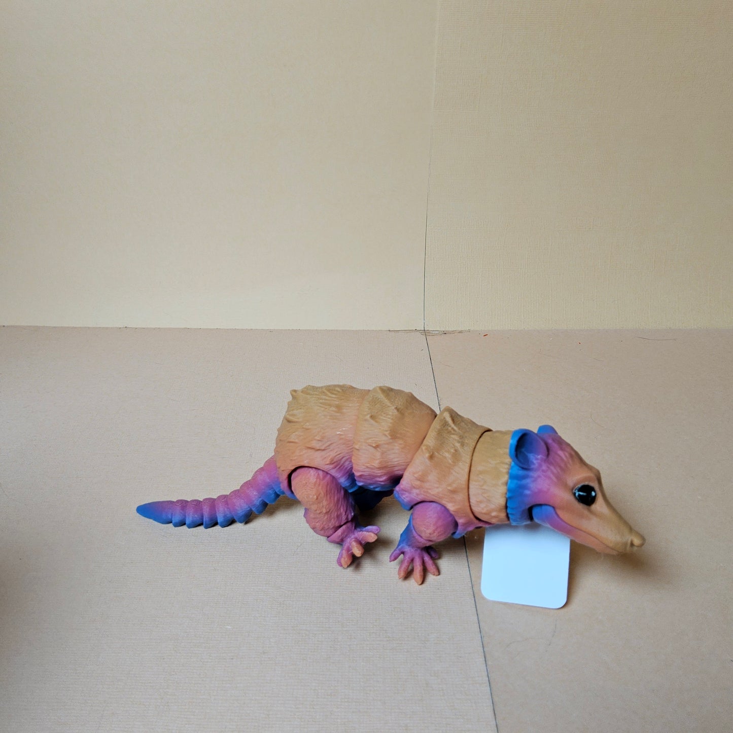 Small Opossum