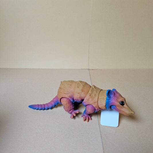 Small Opossum