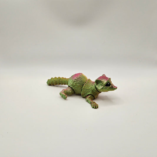 Small Raccoon