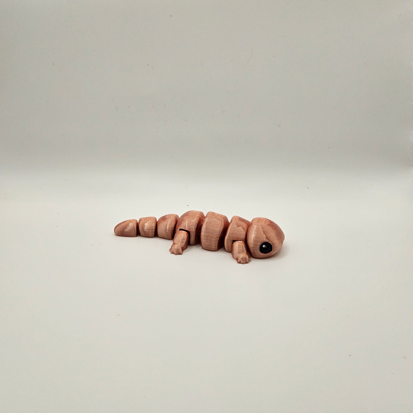Salamander