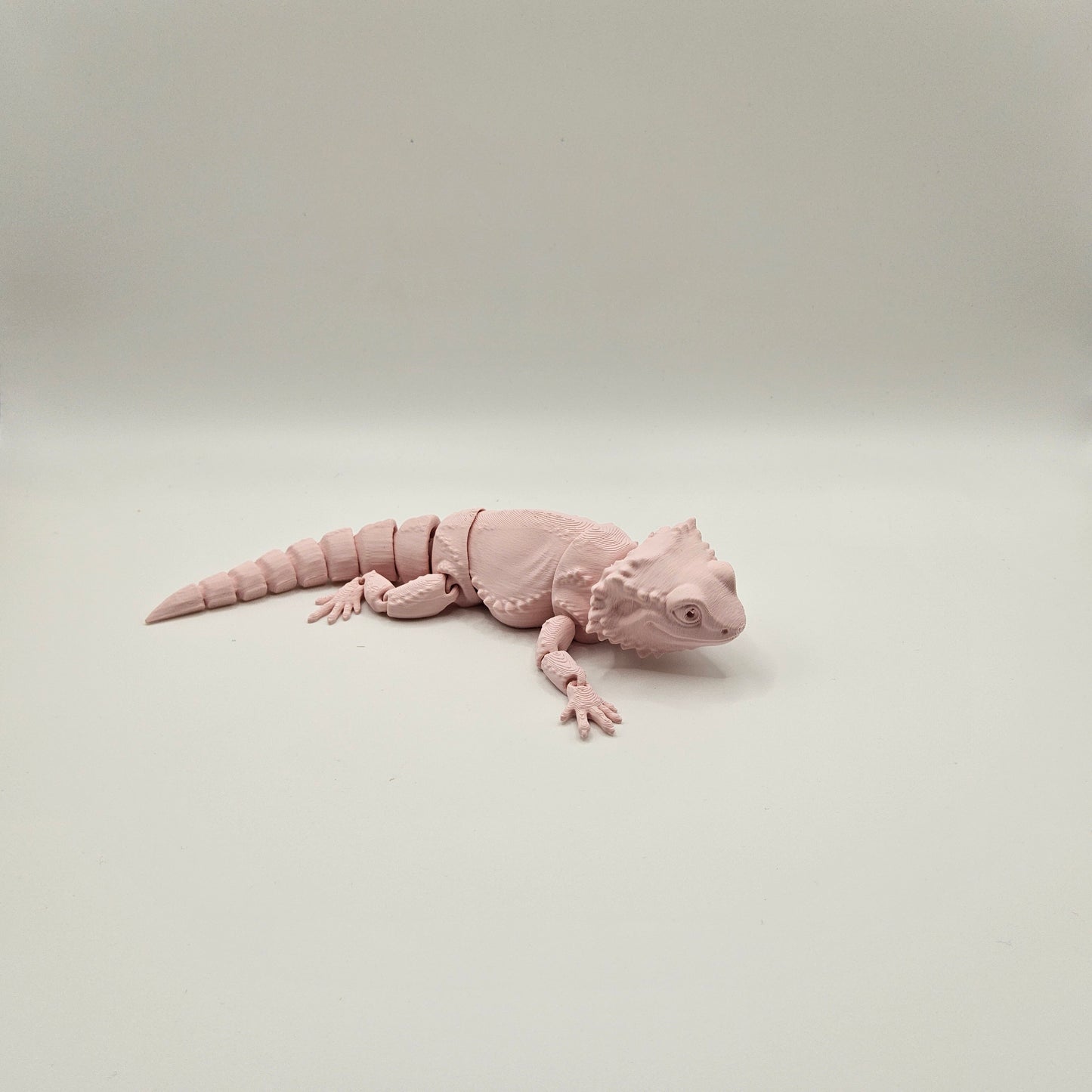 Small Beardie Dragon
