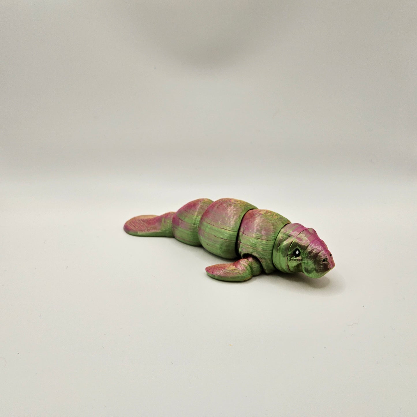 Small Manatee