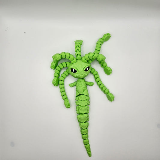 Medusa