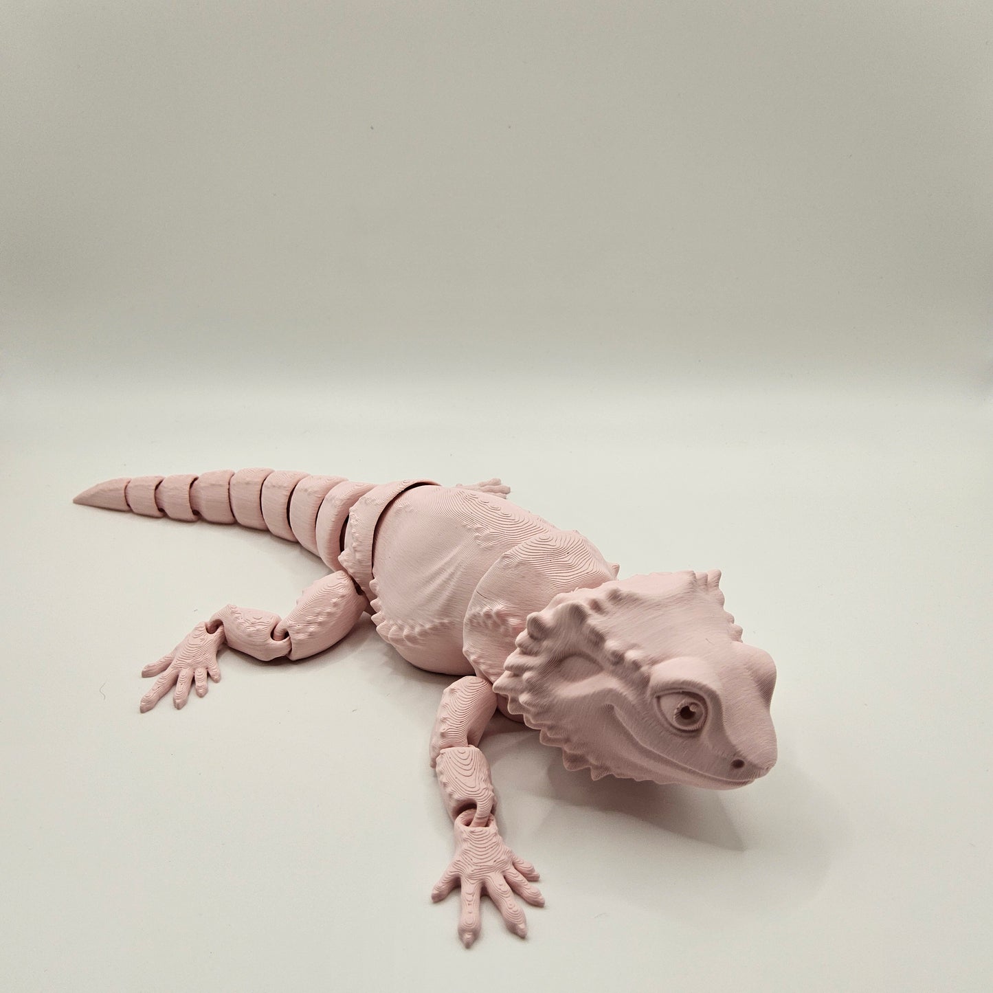 Beardie Dragon