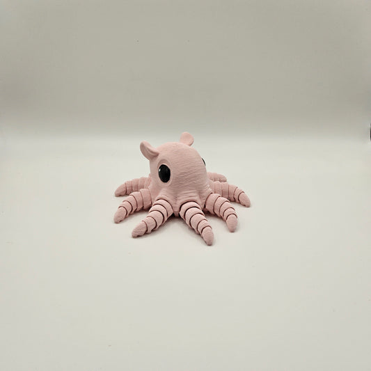Small Flapjack Octopus