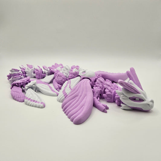 Two Coloured Death's Head Moth Dragon