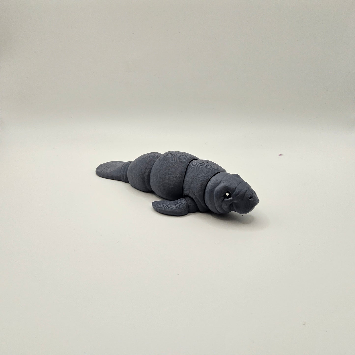 Small Manatee