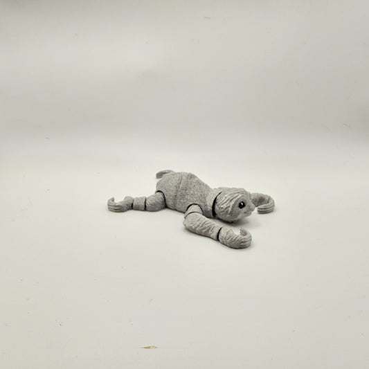 Small Sloth