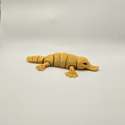 Small Platypus