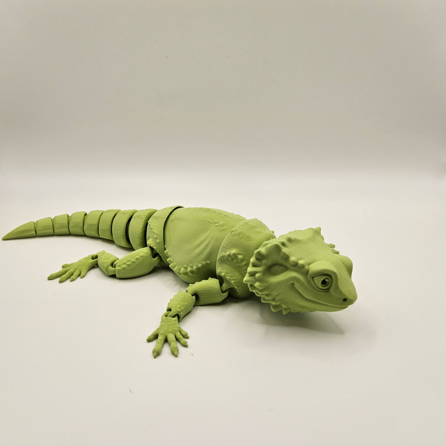 Beardie Dragon