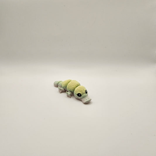 Mini Platypus