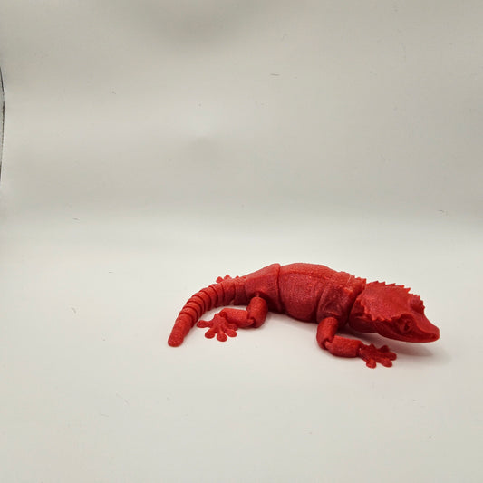 Small Creasted Gecko